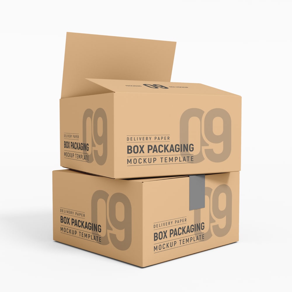 Two Delivery cardboard box